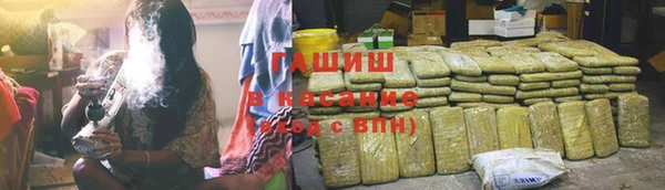 гидра Гусиноозёрск