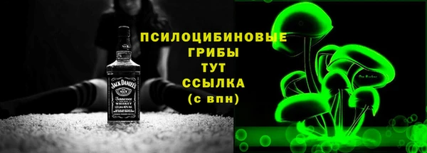ПСИЛОЦИБИНОВЫЕ ГРИБЫ Няндома
