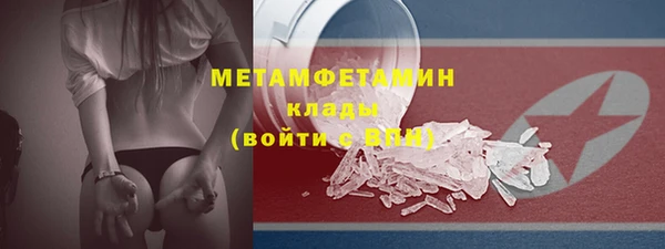 ПСИЛОЦИБИНОВЫЕ ГРИБЫ Няндома