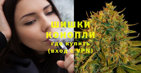 ПСИЛОЦИБИНОВЫЕ ГРИБЫ Няндома