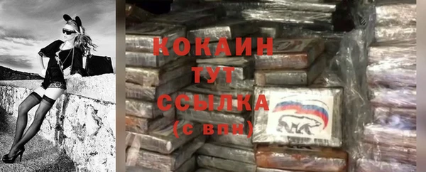 ПСИЛОЦИБИНОВЫЕ ГРИБЫ Няндома